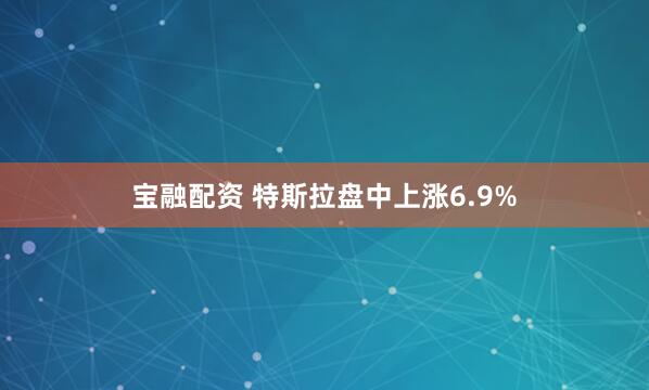 宝融配资 特斯拉盘中上涨6.9%