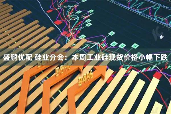 盛鹏优配 硅业分会：本周工业硅现货价格小幅下跌
