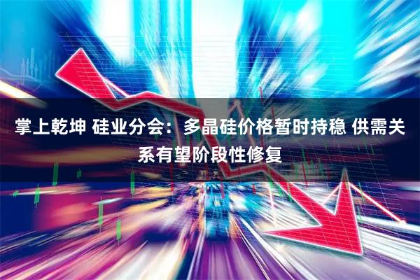 掌上乾坤 硅业分会：多晶硅价格暂时持稳 供需关系有望阶段性修复
