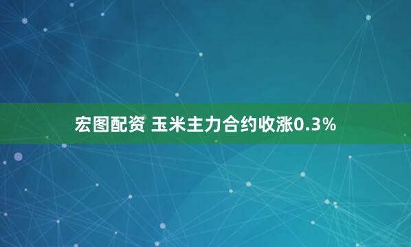 宏图配资 玉米主力合约收涨0.3%