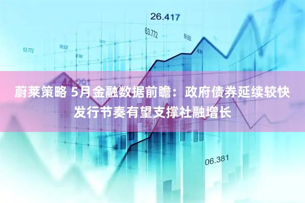 蔚莱策略 5月金融数据前瞻：政府债券延续较快发行节奏有望支撑社融增长