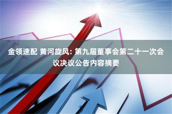 金领速配 黄河旋风: 第九届董事会第二十一次会议决议公告内容摘要