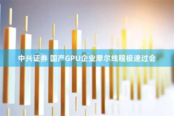 中兴证券 国产GPU企业摩尔线程极速过会