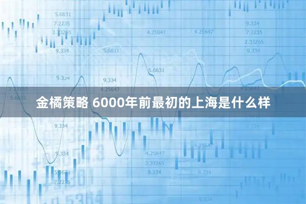 金橘策略 6000年前最初的上海是什么样