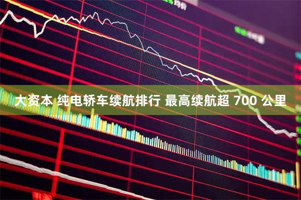 大资本 纯电轿车续航排行 最高续航超 700 公里