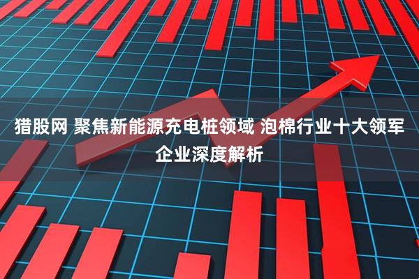 猎股网 聚焦新能源充电桩领域 泡棉行业十大领军企业深度解析