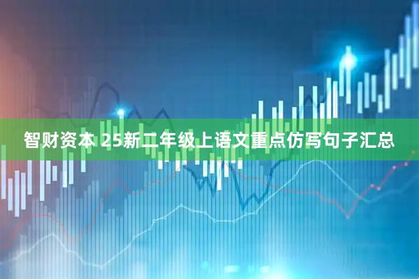 智财资本 25新二年级上语文重点仿写句子汇总